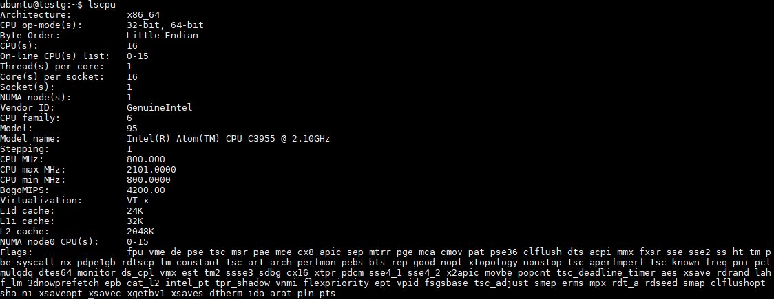 Intel Atom C3955 Lscpu Output