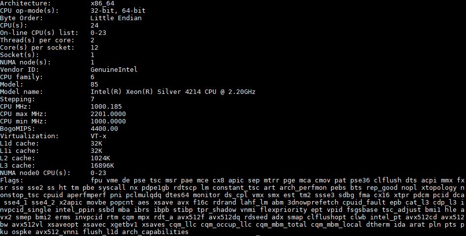 Intel Xeon Silver 4214 Lscpu